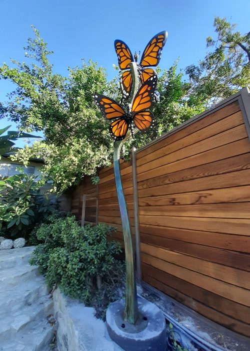 BUTTERFLIES