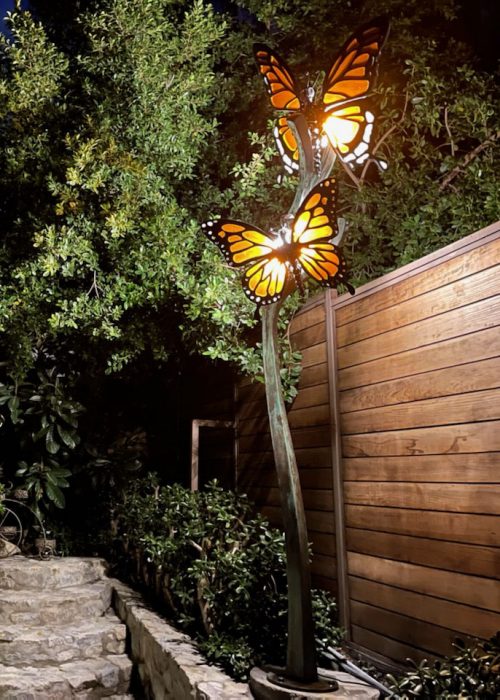 butterfly-1