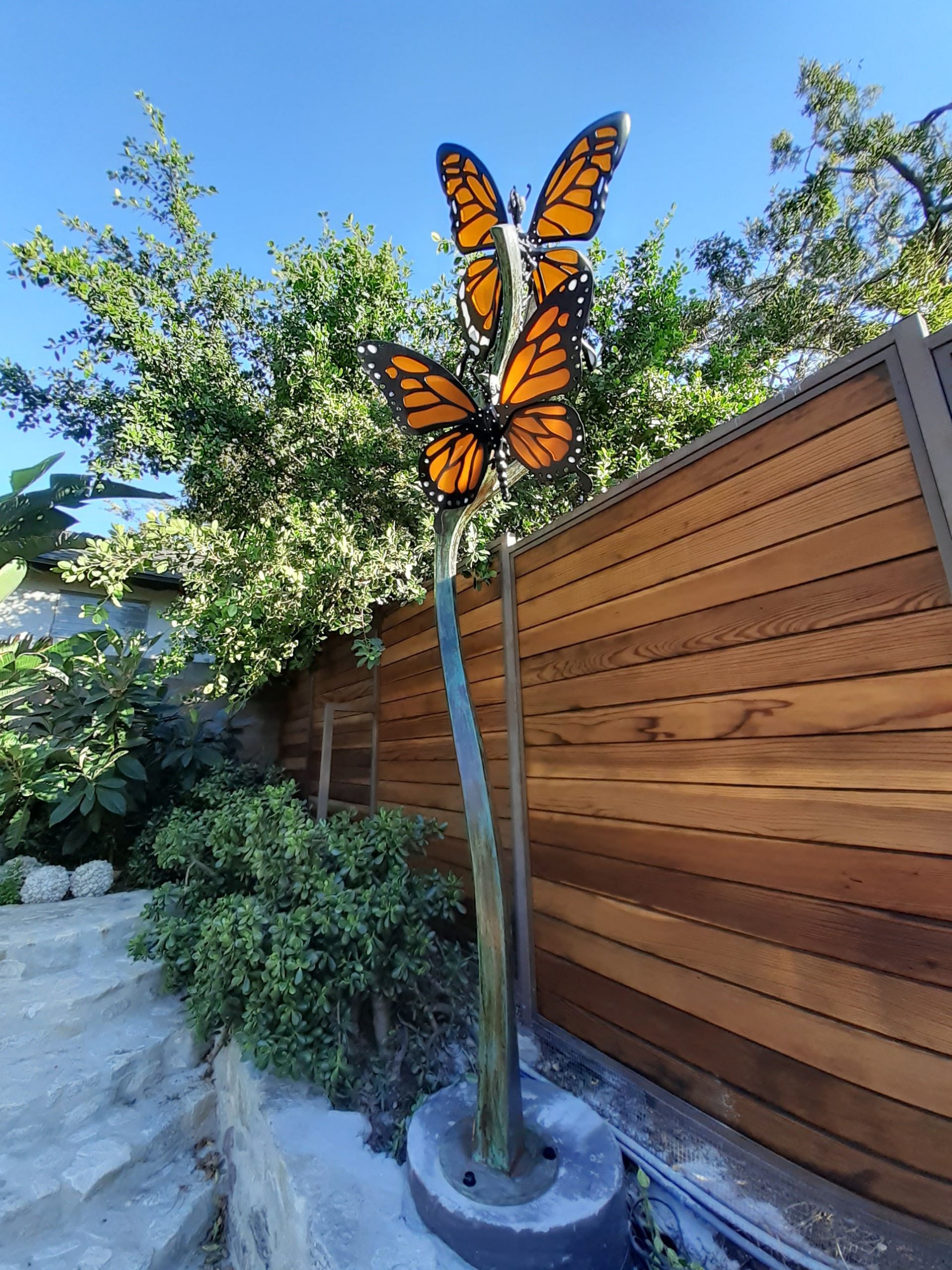BUTTERFLIES