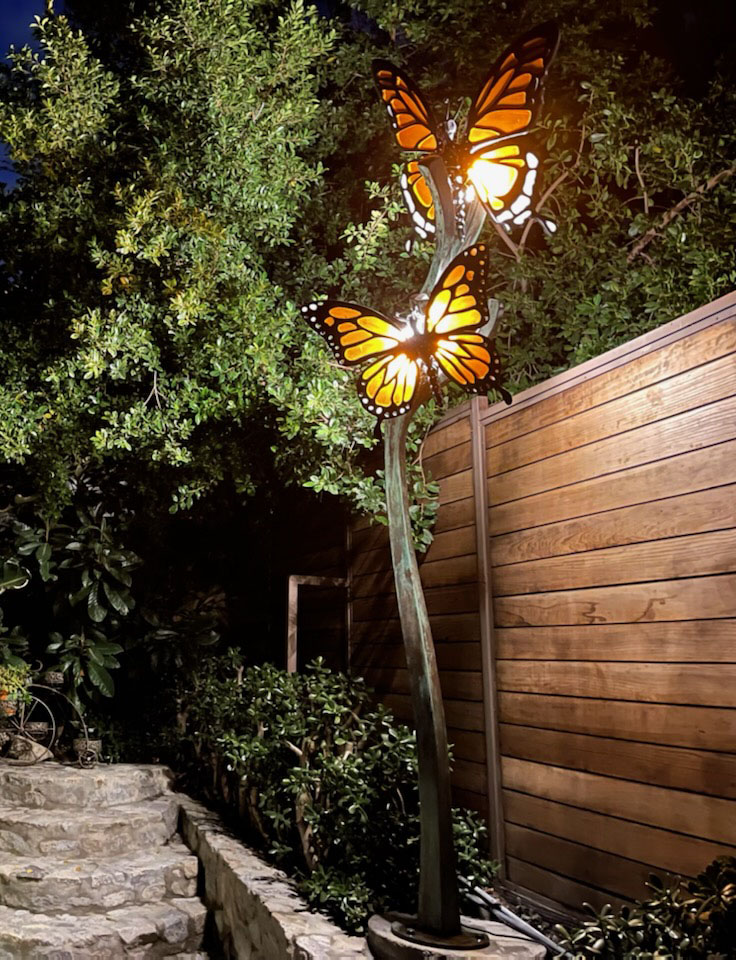 butterfly-1
